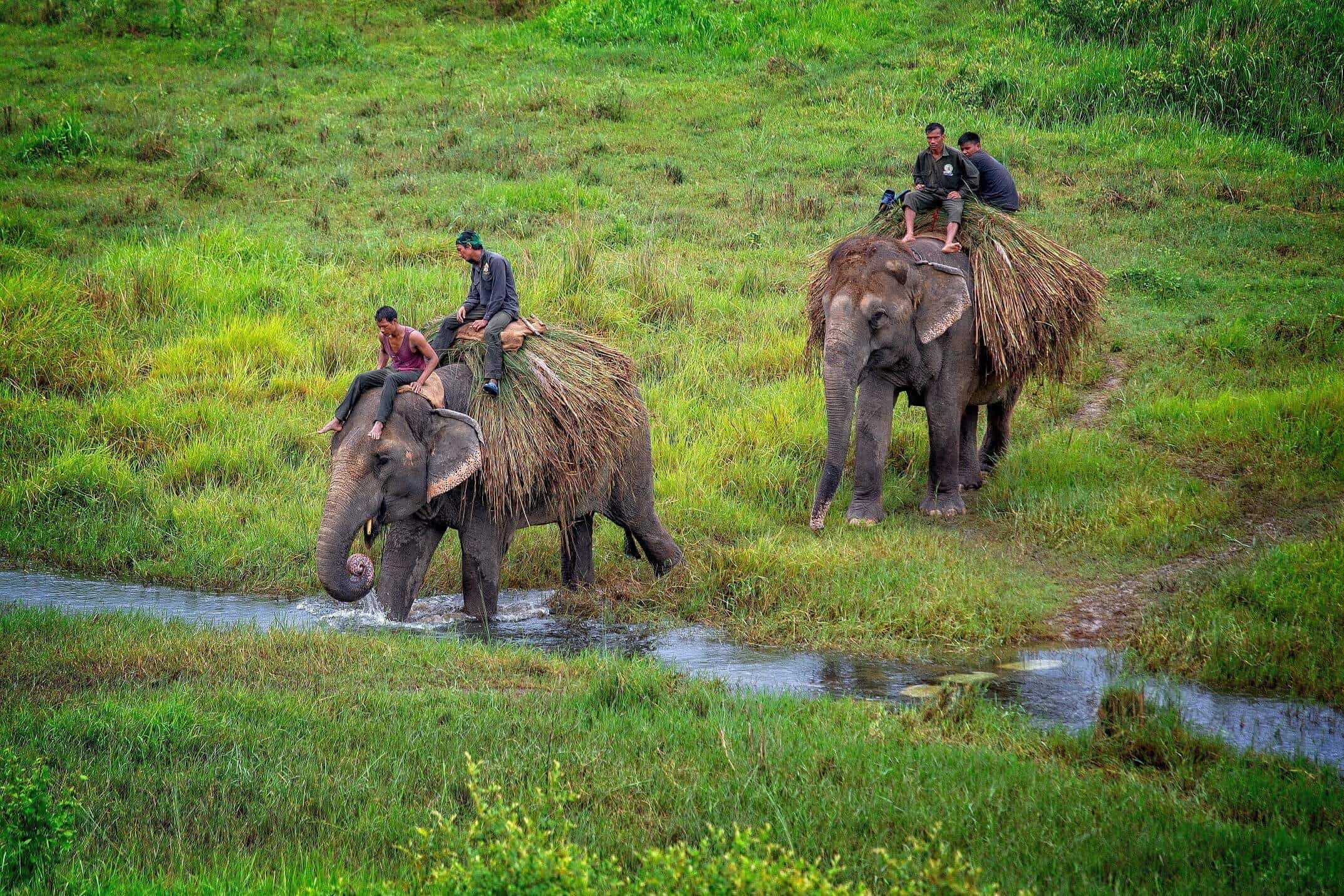 kathmandu tour and travels